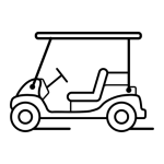 CARRITO DE GOLF