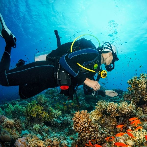 Actividades Buceo