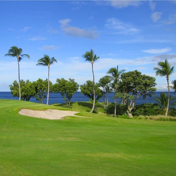 Actividades Golf